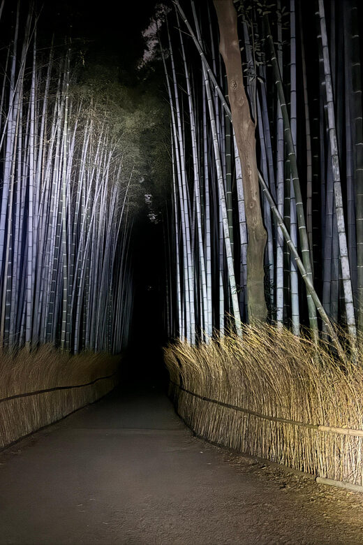 Kyoto: Ghost Tour - Legends, Dark Tales, Bamboo Forest Night - Bamboo Forest After Dark Is the Real Star