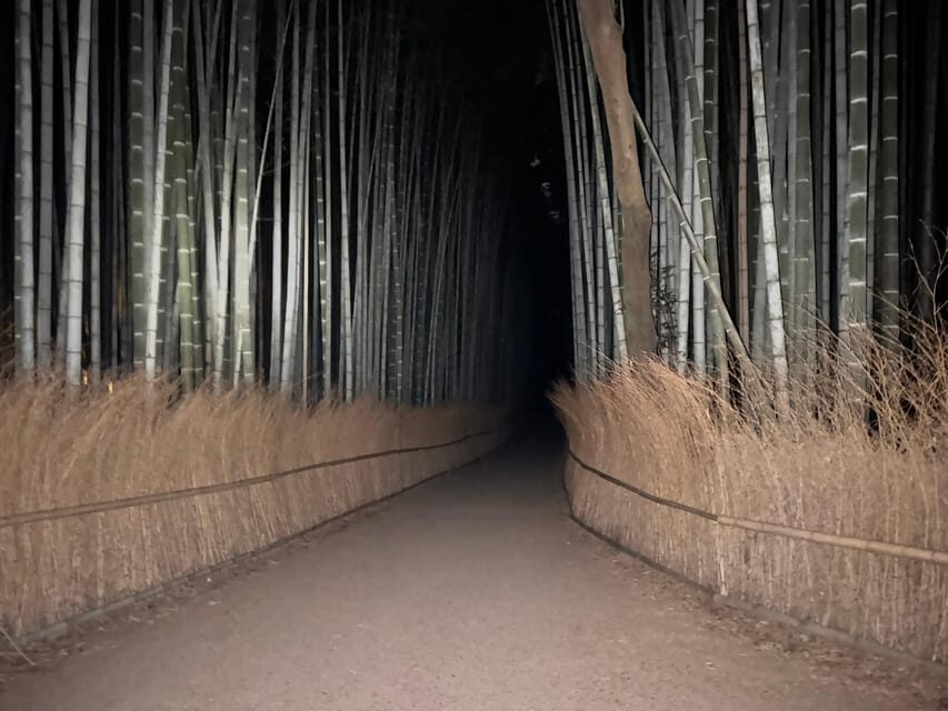 Kyoto: Ghost Tour - Legends, Dark Tales, Bamboo Forest Night - The Solo Bamboo Walk: A Courage Test With Clear Boundaries