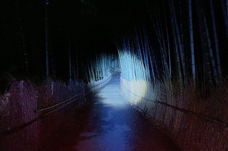 Kyoto: Ghost Tour - Legends, Dark Tales, Bamboo Forest Night - Dark Tales: Crimes, Ghosts, and Storytelling That Actually Feels Local