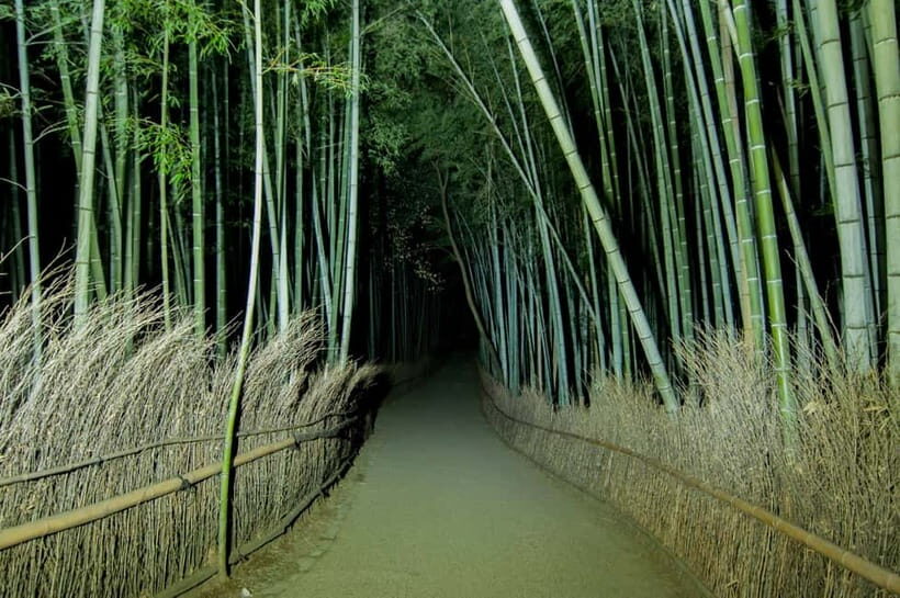 Kyoto: Ghost Tour - Legends, Dark Tales, Bamboo Forest Night - Price and Value: Why $50 Can Make Sense for 150 Minutes