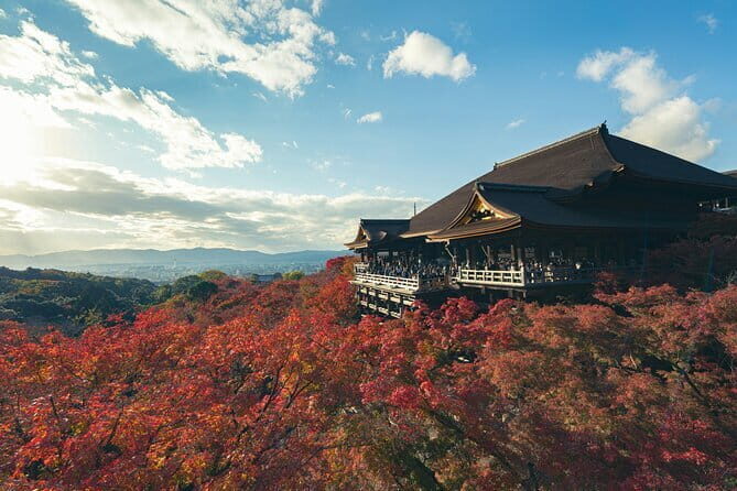 Kyoto Gion Early Morning Walking Tour - The guides make or break it (and this tour delivers)