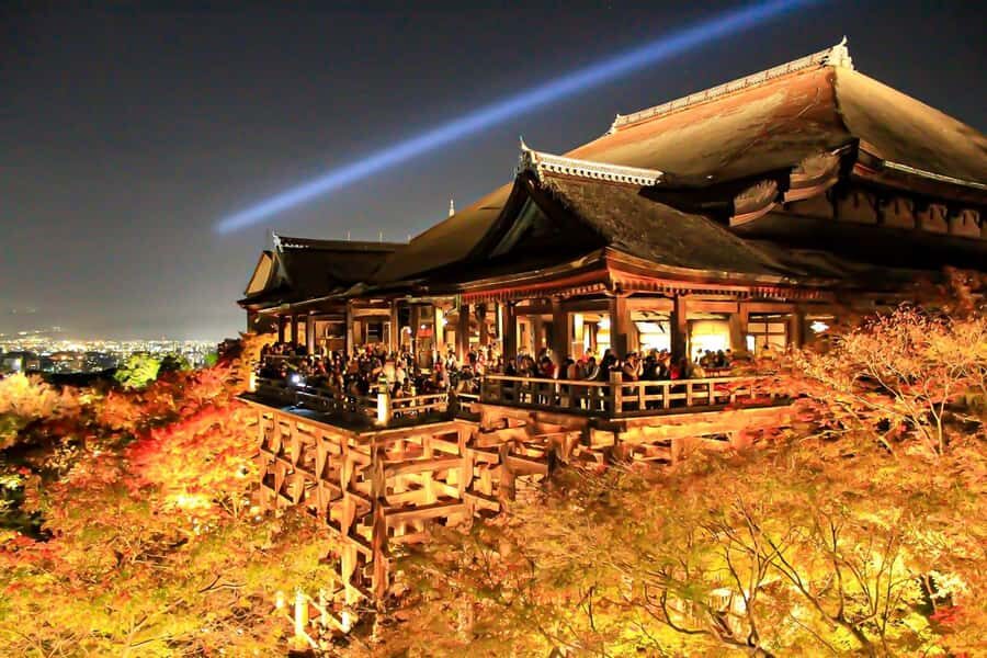 Kyoto: Gion Morning/Night Walking Tour - Morning Quiet vs. Night Glow: Picking Your Best Time in Gion