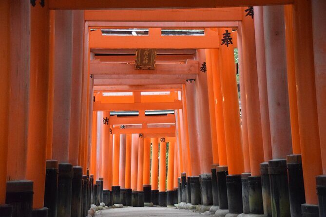 Kyoto Guided Walking Tour Highlight of Kiyomizu & Fushimi Inari - Small Group Energy and a Guide Like Naomi-san