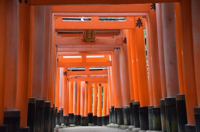 Kyoto Guided Walking Tour Highlight of Kiyomizu & Fushimi Inari - Photo and Comfort Tips for a 4-Hour Kyoto Walk