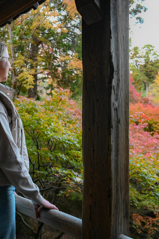 Kyoto: Half-day Guided Bike Tour with Fushimi Inari - Fushimi Inari Taisha: orange torii gates with a guided path and clear end point