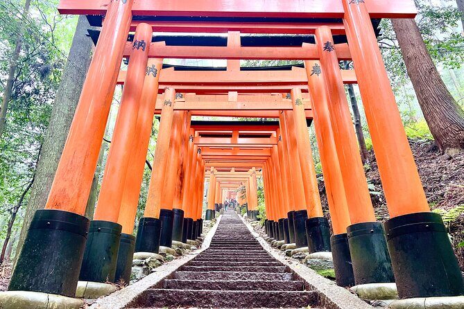 Kyoto Half Day Highlights Tour - Kiyomizudera Temple: The Views Take Center Stage (and Admission Is Included)