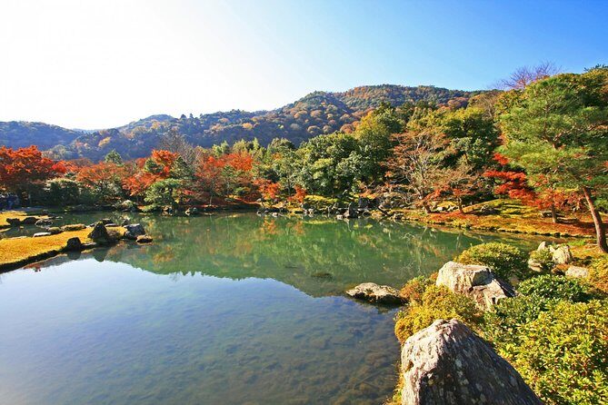 Kyoto Highlights: Arashiyama & Fushimi Inari by Private Car - From Osaka to Kyoto Without the Transit Headaches