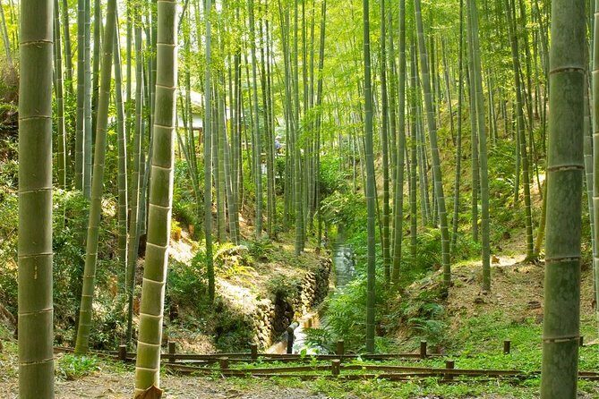 Kyoto Highlights: Arashiyama & Fushimi Inari by Private Car - Fushimi Inari-taisha: Torii Gates and How to Choose Your Climb