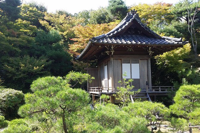 Kyoto Highlights: Arashiyama & Fushimi Inari by Private Car - Walking, Weather, and Photo Timing You Can Plan For