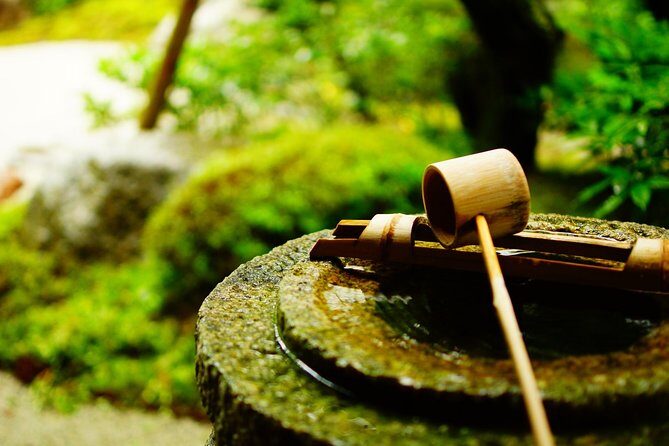 Kyoto Highlights: Arashiyama & Fushimi Inari by Private Car - Tenryu-ji Temple Gardens: Serenity With Real-World Beauty