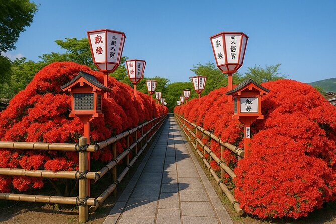 Kyoto Highlights Eastern Western Northern and Southern Routes - Key things to know before you go