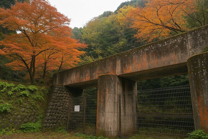 Kyoto Highlights Eastern Western Northern and Southern Routes - A private Kyoto loop from Osaka built for real pacing
