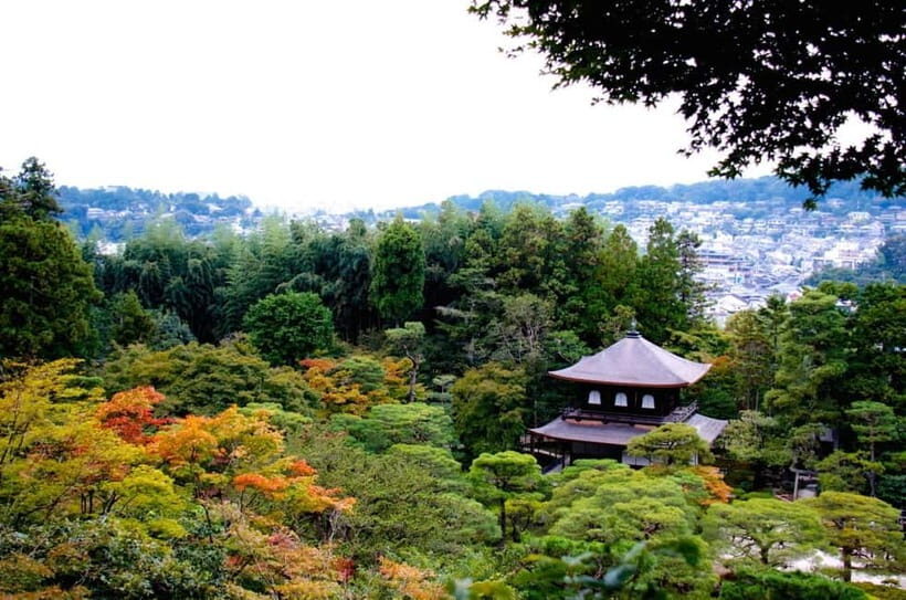 Kyoto: Highlights Guided Walking Tour - Key highlights worth caring about
