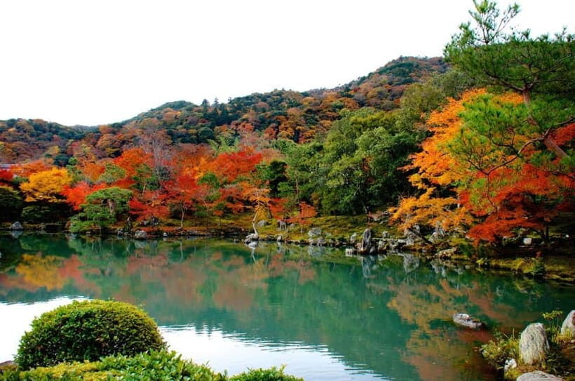 Kyoto: Highlights Guided Walking Tour - Price and value: what $34 gets you (and what it doesn’t)