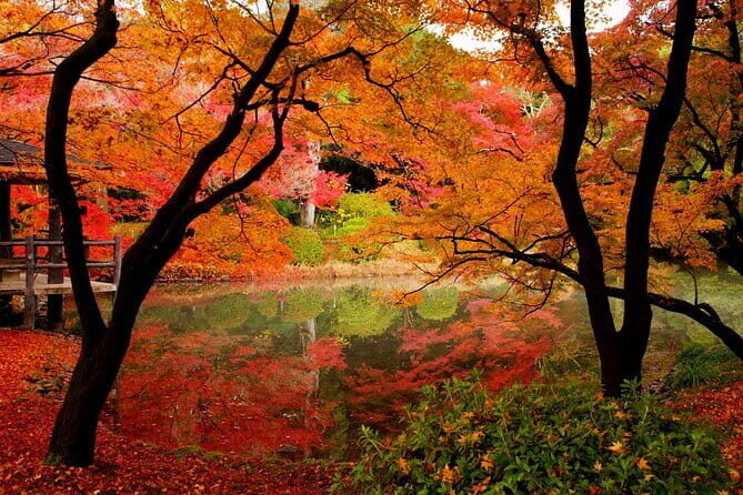 Kyoto Highlights: Half Day Customized World Heritage Walking Tour - Tickets and meeting flow: what to expect before you start