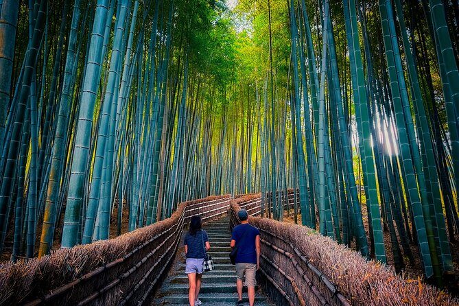 Kyoto Highlights & Hidden Gems in Nature (Private Van Eng-Guide) - Why Kyoto Works Better by Private Van (Especially Afternoon)