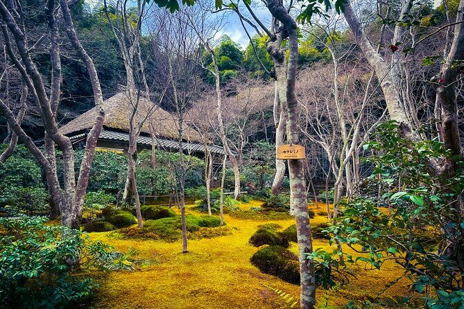 Kyoto Highlights & Hidden Gems in Nature (Private Van Eng-Guide) - Mountain Views Without a Full Hike: Parkway, Ogura Observatory, and Hozukyo