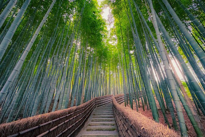Kyoto Highlights & Hidden Gems in Nature (Private Van Eng-Guide) - Fushimi Inari Without Losing Your Whole Day to Gates