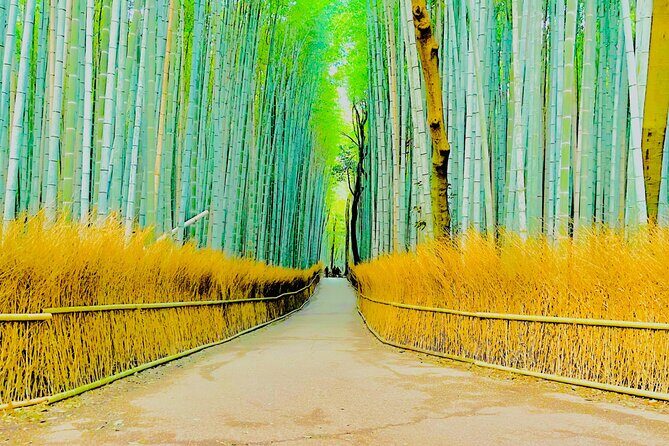 Kyoto Highlights Private Car Day Tour with English Speaking Guide - Arashiyama Bamboo Forest and Tenryu-ji: your first wow moment