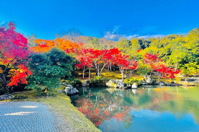 Kyoto Highlights Private Car Day Tour with English Speaking Guide - Kinkaku-ji (Golden Pavilion): how to enjoy the hour