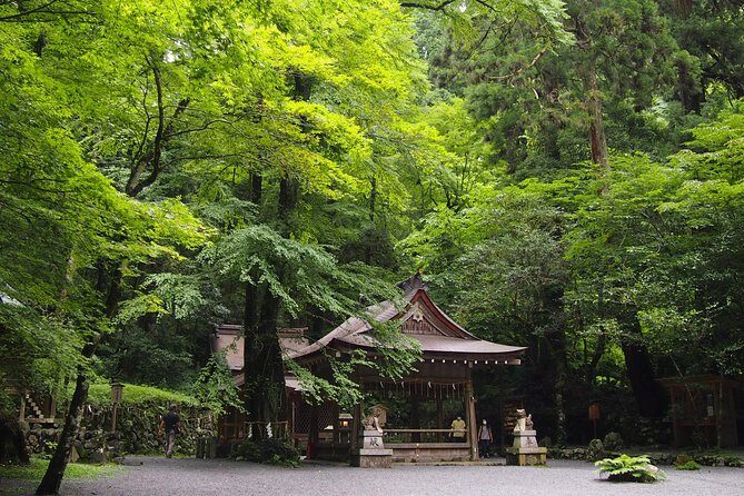 Kyoto Hiking Tour: The Nature and Legends of Kurama and Kibune - Why Kurama and Kibune beats a normal Kyoto walking day