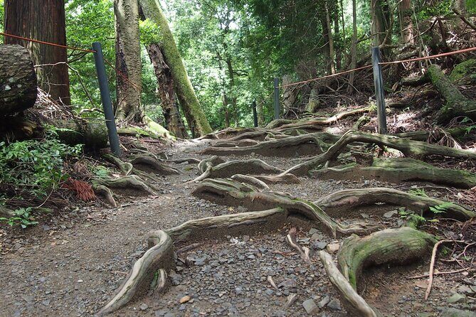 Kyoto Hiking Tour: The Nature and Legends of Kurama and Kibune - Kifune’s inner shrine and the Osaka boat legend