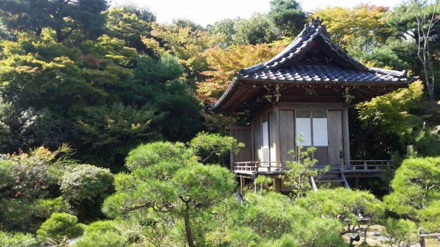 Kyoto: Immersive Arashiyama & Fushimi Inari by Private Car - Key Things That Make This Day Work So Well