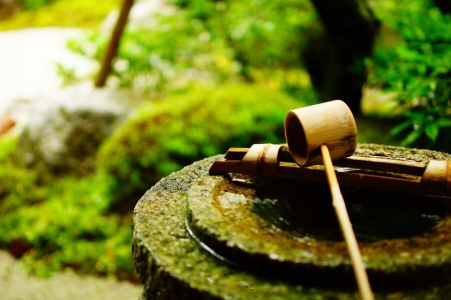 Kyoto: Immersive Arashiyama & Fushimi Inari by Private Car - Okochi Sanso Estate: Matcha and Winding Paths