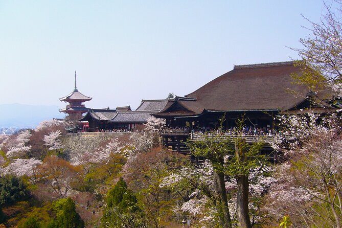 Kyoto in a Day by eBike: The Best Bits Tour (East Course) - Key points worth knowing