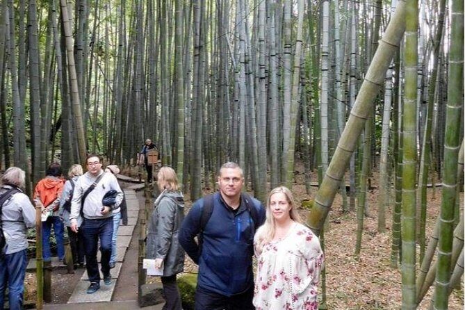 Kyoto Japanese Garden Lover's Private Tour with Government-Licensed Guide - How the private walking setup keeps Kyoto from feeling like a checklist