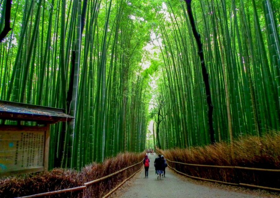 Kyoto: Japanese Gardens Private Customizable Tour - Key things I’d center in your planning