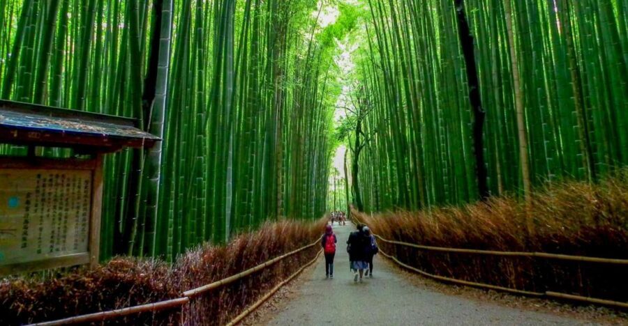 Kyoto: Japanese Gardens Private Customizable Tour - Zen Gardens, One Private Walk at a Time