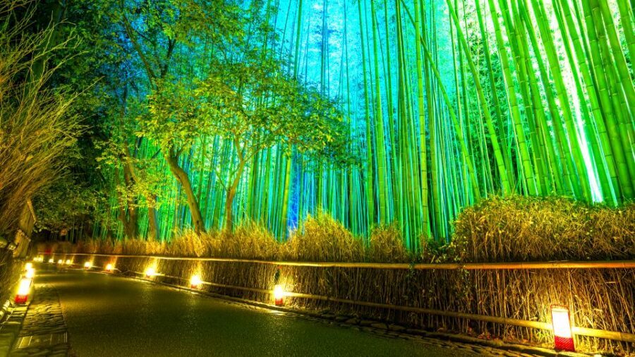Kyoto: Japanese Gardens Private Customizable Tour - Zen Temples and Dry Gardens: Ryoanji, Daitoku-ji, and More