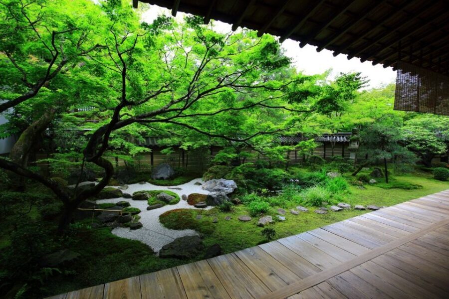 Kyoto: Japanese Gardens Private Customizable Tour - Arashiyama Bamboo Forest: When to Add It and What to Expect