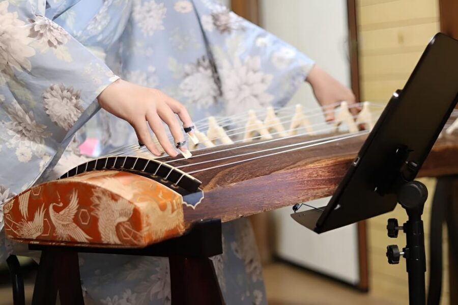Kyoto: Japanese Koto & Shamisen Concert and Koto Class - Practical Tips That Actually Matter Here
