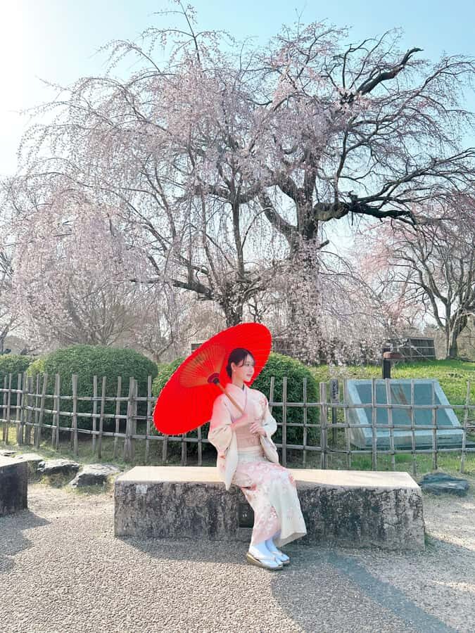Kyoto: Kimono Rental Traditional Experience at Wargo in Gion - Timing and return: how to avoid the end-of-day scramble