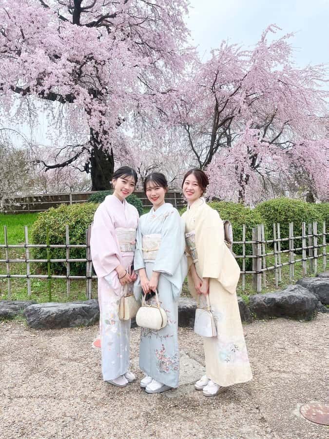 Kyoto: Kimono Rental Traditional Experience at Wargo in Gion - Standard vs Premium (and what the upgrade really changes)