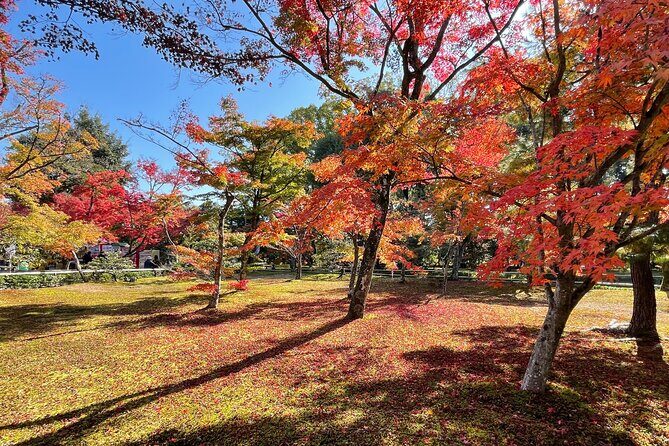Kyoto: Kinkaku-ji Temple & Serene Garden Guided Tour with Tickets - Ninna-ji’s Rare Main Hall Chanting and Monk Q&A