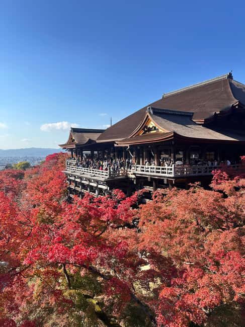 Kyoto: Kiyomizudera, Sanjusangendo, Kodaiji, and Gion. - Shichōjō Station to Kiyomizudera: getting around without stress