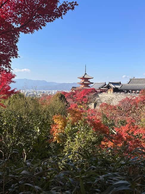 Kyoto: Kiyomizudera, Sanjusangendo, Kodaiji, and Gion. - Sanjusangendo’s long hall and 1,001 Kannon statues