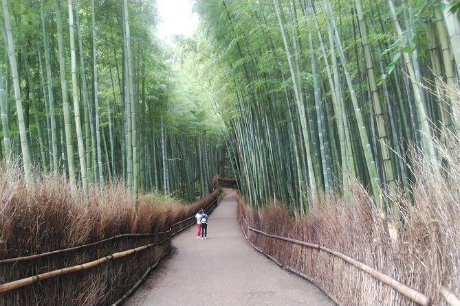 Kyoto Lazy Bird Walking Tour - Price and logistics: what you’re really paying