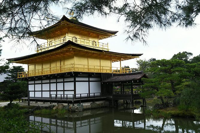 Kyoto Lazy Bird Walking Tour - Stop 1: Arashiyama Bamboo Grove at a calm, scenic pace