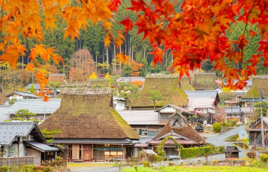 Kyoto: Miyama Village, Amanohashidate & Ine Bay Day Trip - Leaving Osaka early: how the day actually starts