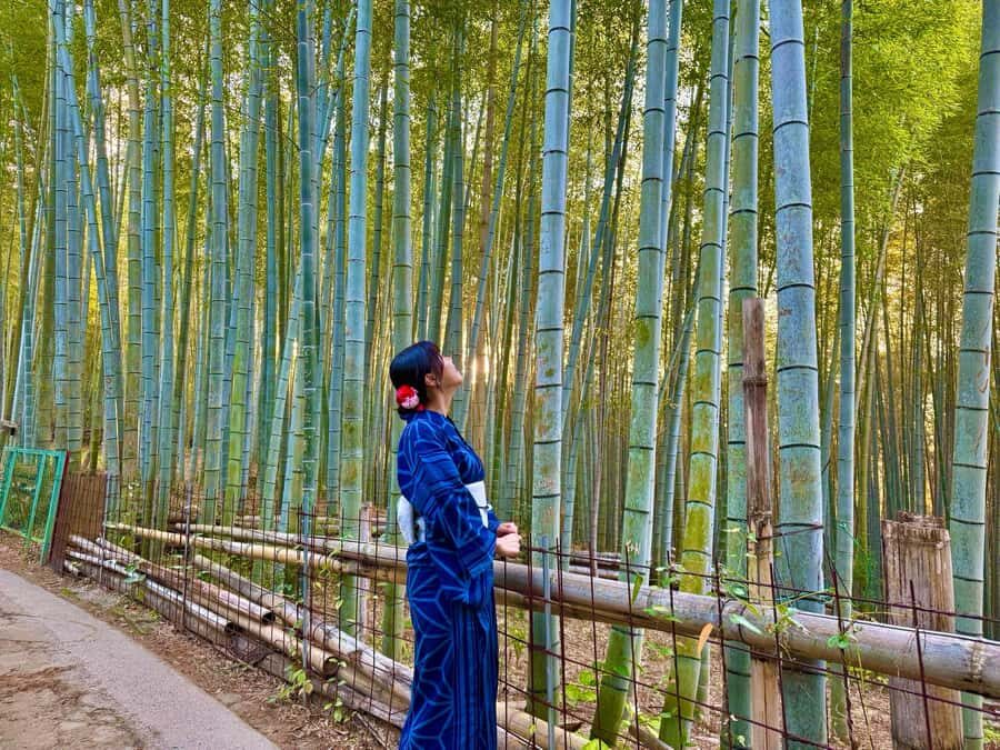 Kyoto Morning Highlights Tour: Fushimi, Kiyomizu-dera & Gion - Kiyomizu-dera: sweeping city views with time to breathe