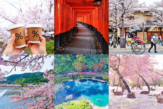 Kyoto-Nara Adventures Private Tour With Hotel Pick Up - Key things I’d zero in on before you book