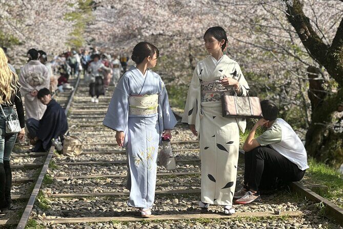 Kyoto-Nara Adventures Private Tour With Hotel Pick Up - Price and logistics: what you’re really paying for