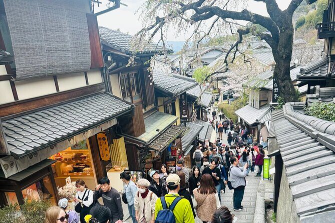 Kyoto-Nara Adventures Private Tour With Hotel Pick Up - Comfort and group size: who benefits most