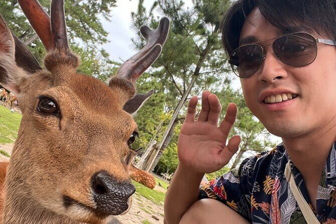 Kyoto & Nara Day Tour: Golden Pavilion, Fushimi Inari & Deer Park - Arashiyama Bamboo Forest: A Fast Stroll Through Quiet