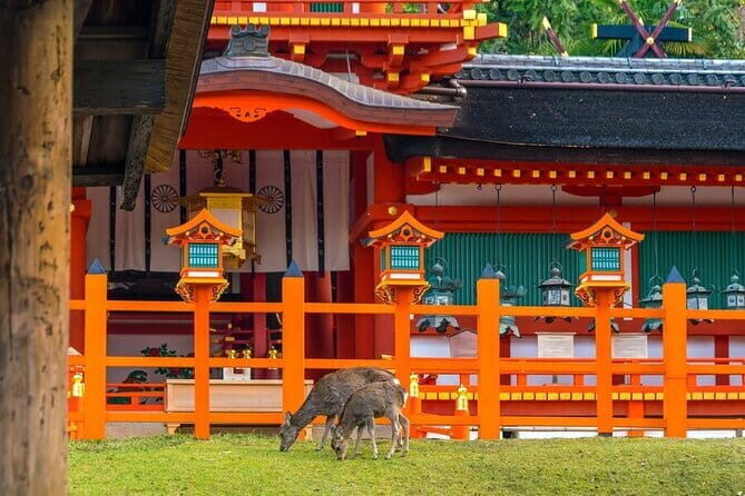 Kyoto & Nara Day Tour: Golden Pavilion, Fushimi Inari & Deer Park - Nara Park: Deer Park Time, shika senbei, and Todaiji Area Energy