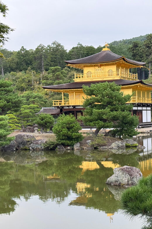 Kyoto & Nara Full Day Customised Tour - Timing, comfort, and the details that matter in a one-day sprint